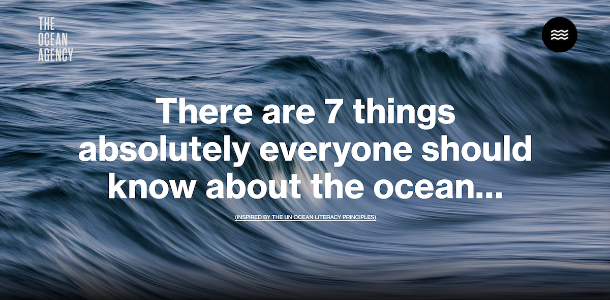 Our Incredible Ocean