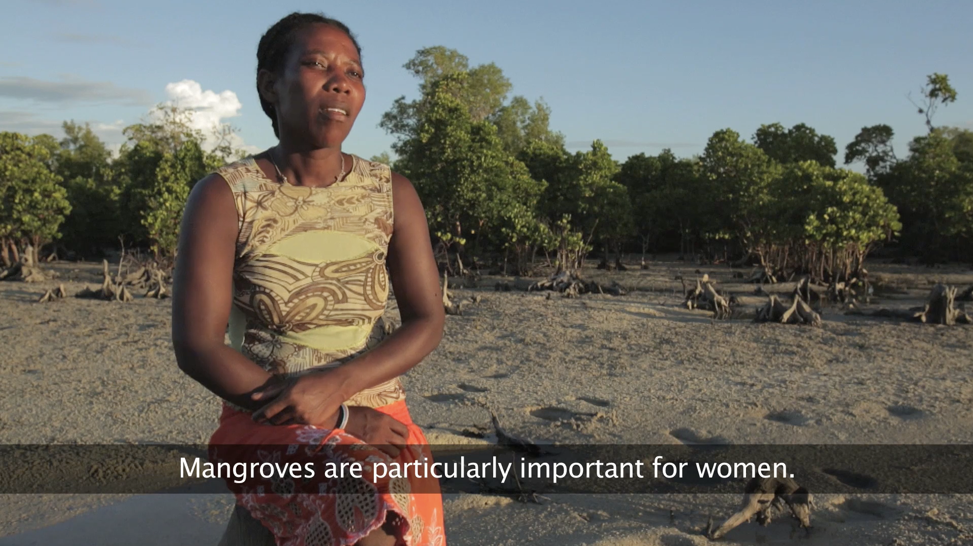 Tahiry Honko – a community mangrove carbon project